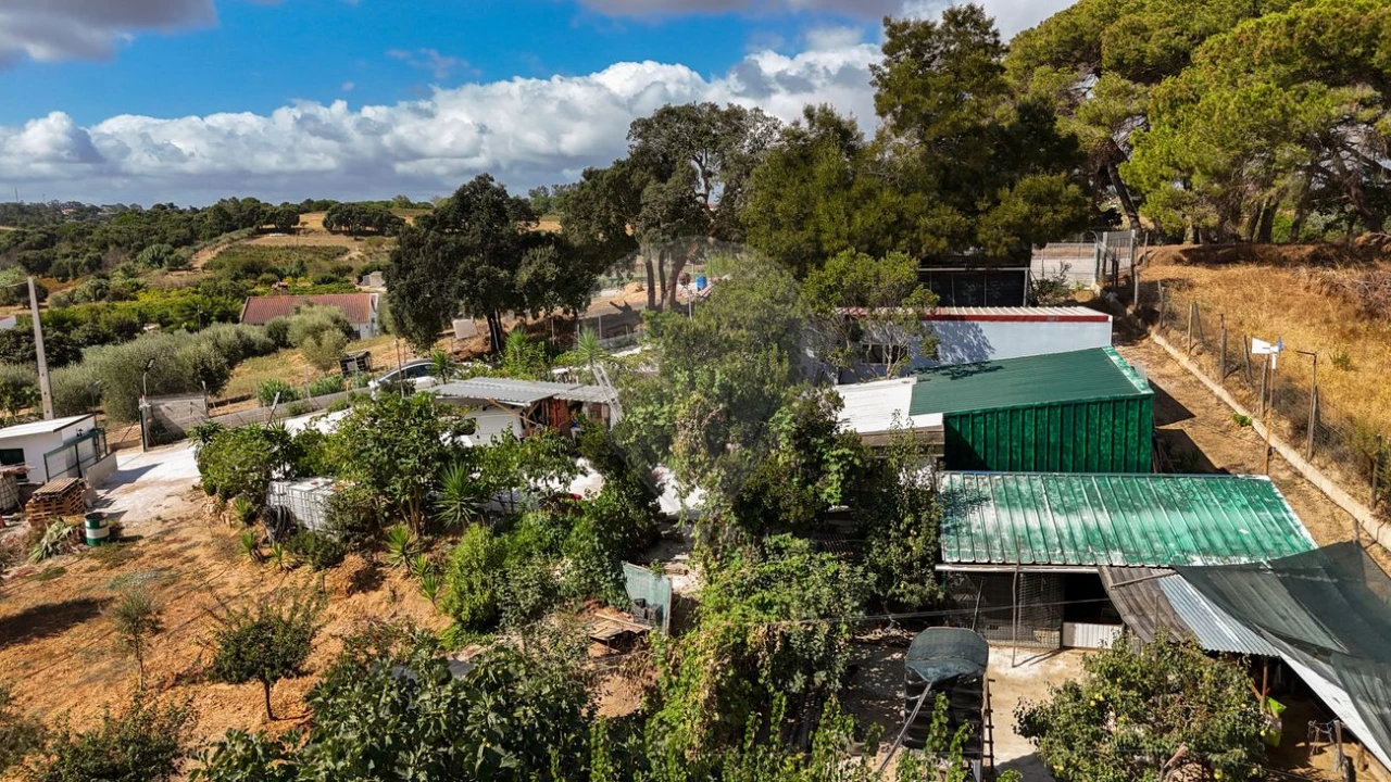 Terreno para Venda em Aveiras de Cima Foto 31