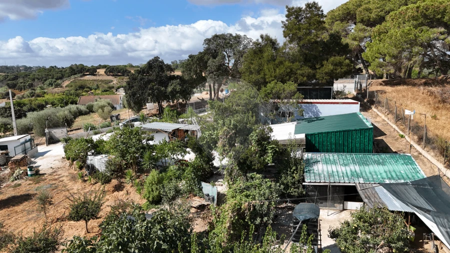 Terreno para Venda em Aveiras de Cima Foto 2