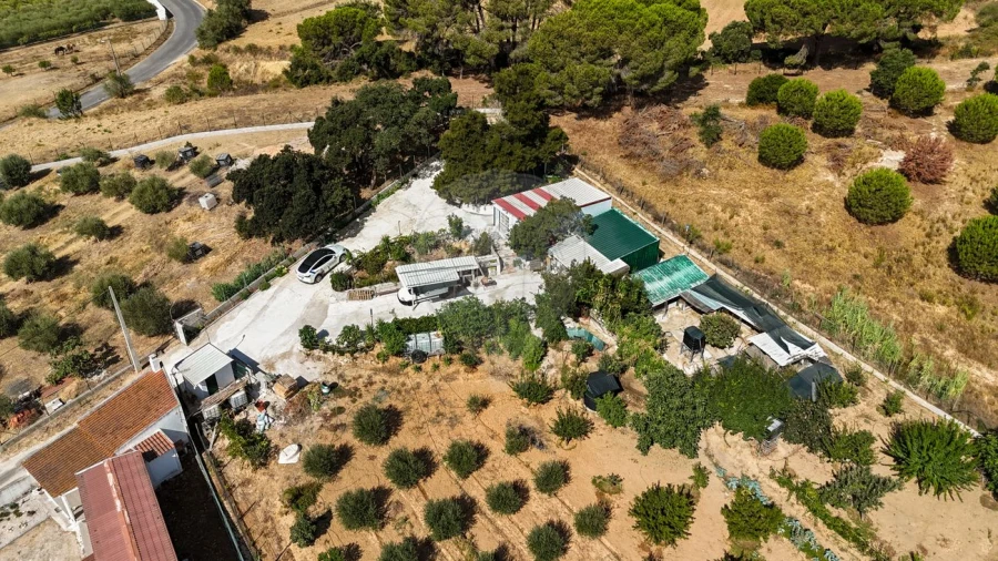 Terreno para Venda em Aveiras de Cima Foto 25
