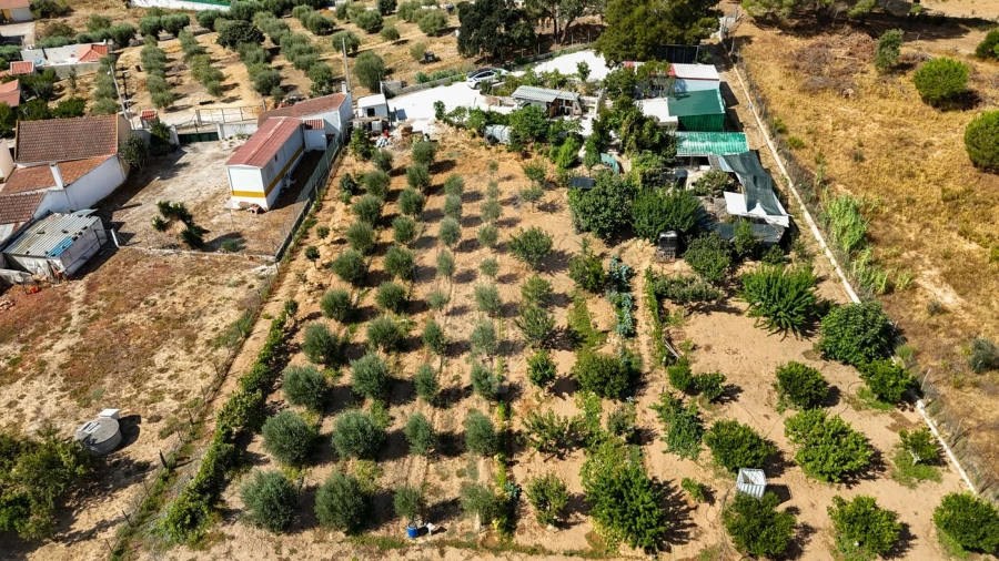 Terreno para Venda em Aveiras de Cima Foto 27