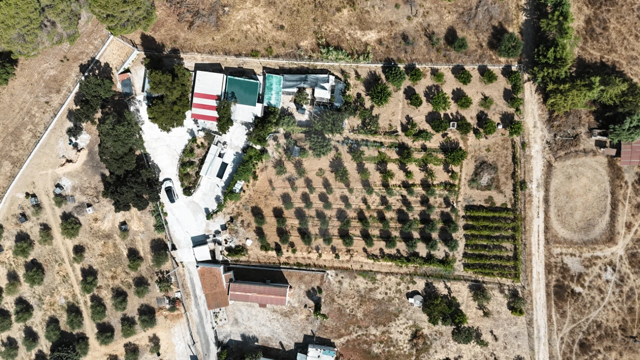 Terreno para Venda em Aveiras de Cima Foto 1