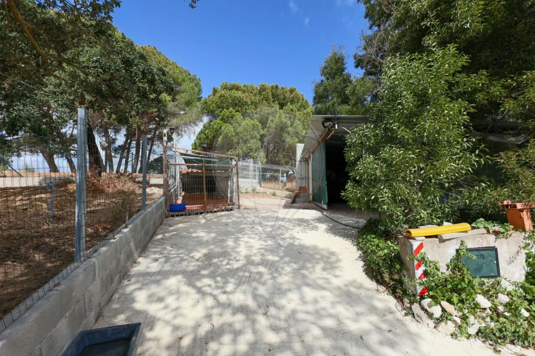 Terreno para Venda em Aveiras de Cima Foto 20