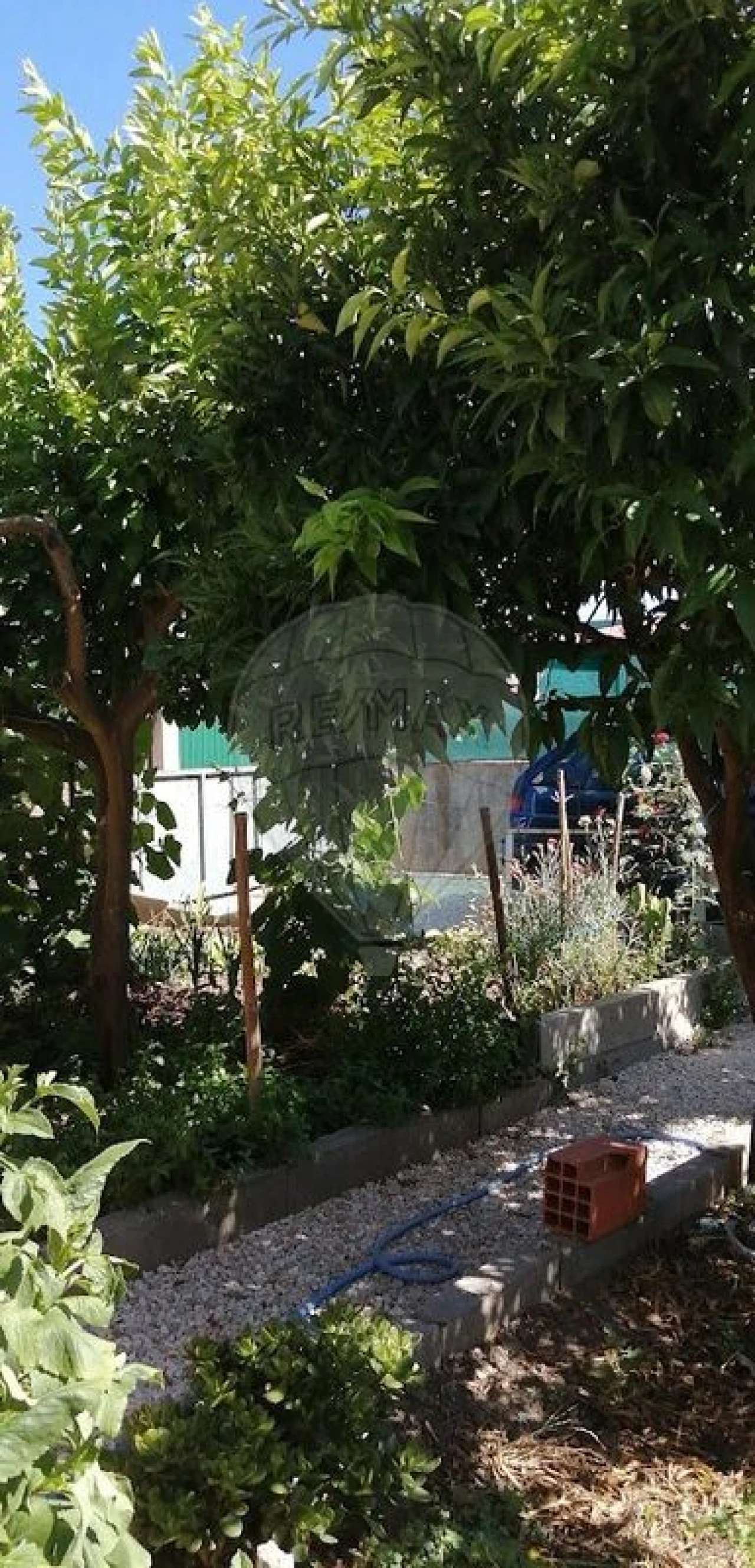 Moradia T1 para Venda em Sobreira Formosa e Alvito da Beira Foto 14