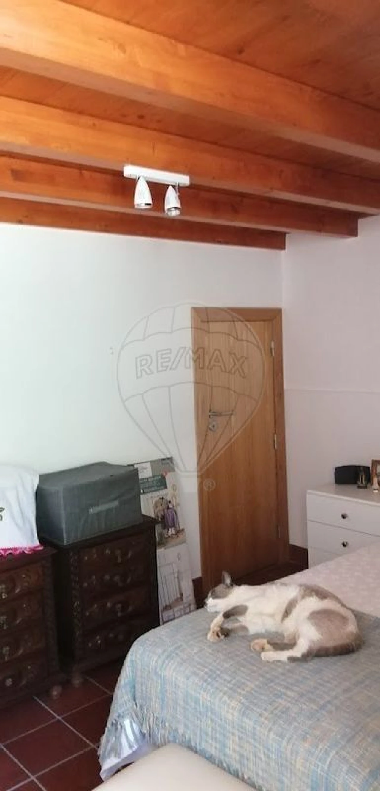 Moradia T1 para Venda em Sobreira Formosa e Alvito da Beira Foto 7