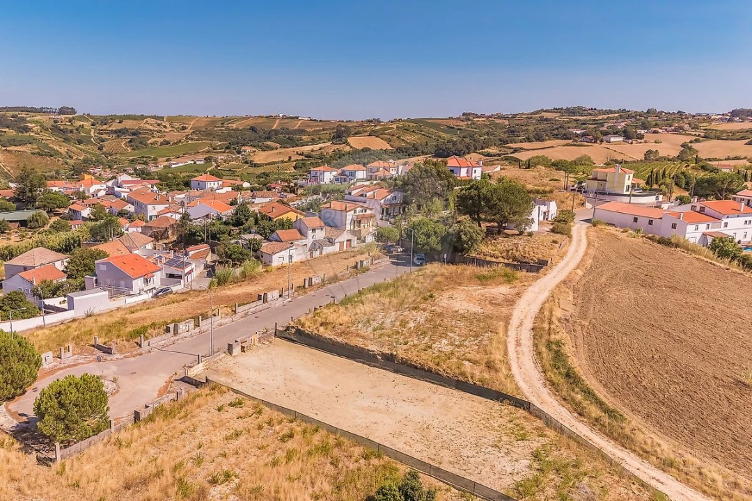 Terreno para Venda em Ribafria e Pereiro de Palhacana Foto 3