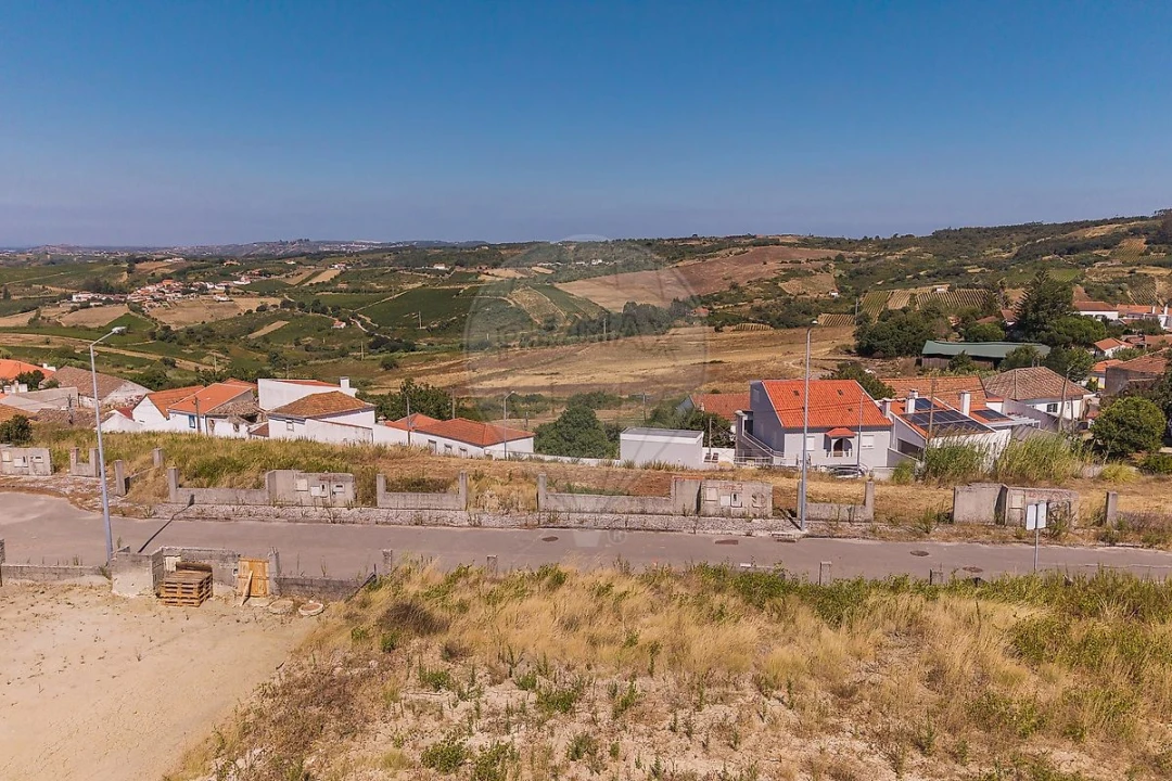 Terreno para Venda em Ribafria e Pereiro de Palhacana Foto 6
