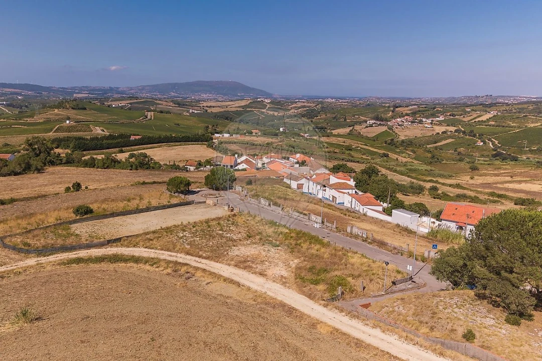 Terreno para Venda em Ribafria e Pereiro de Palhacana Foto 5