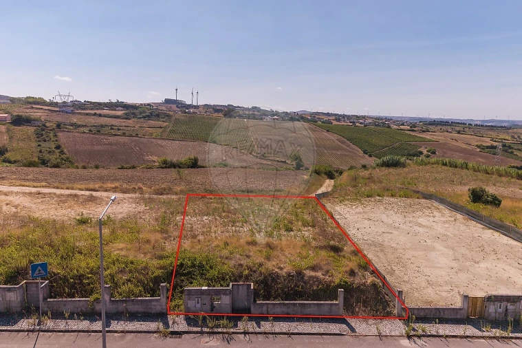Terreno para Venda em Ribafria e Pereiro de Palhacana Foto 2