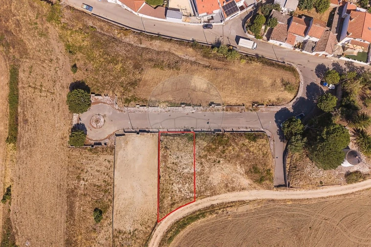 Terreno para Venda em Ribafria e Pereiro de Palhacana Foto 1