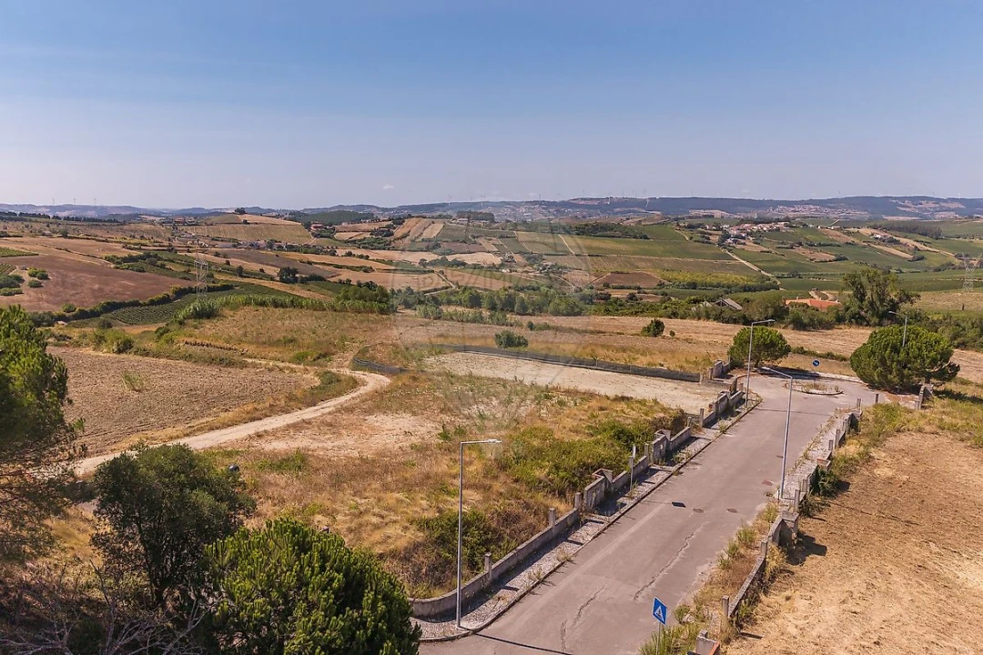 Terreno para Venda em Ribafria e Pereiro de Palhacana Foto 4