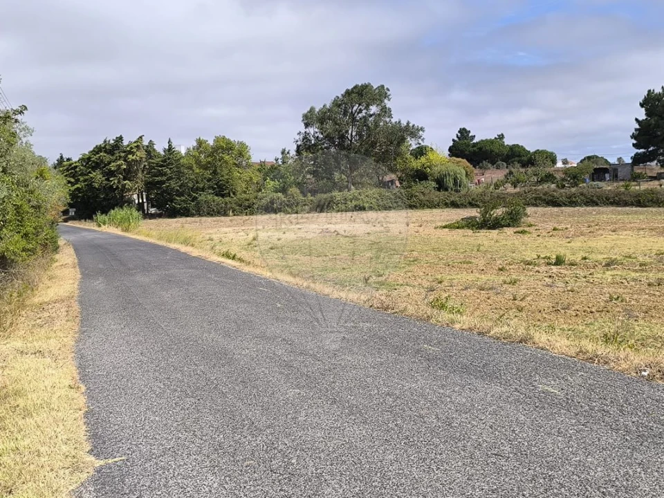 Terreno para Venda em Azambuja Foto 2
