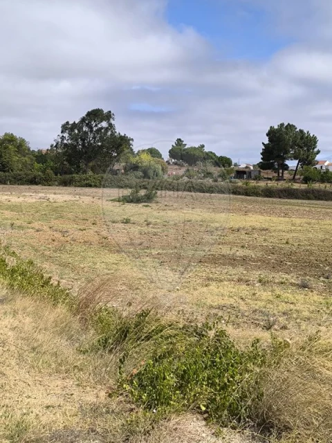 Terreno para Venda em Azambuja