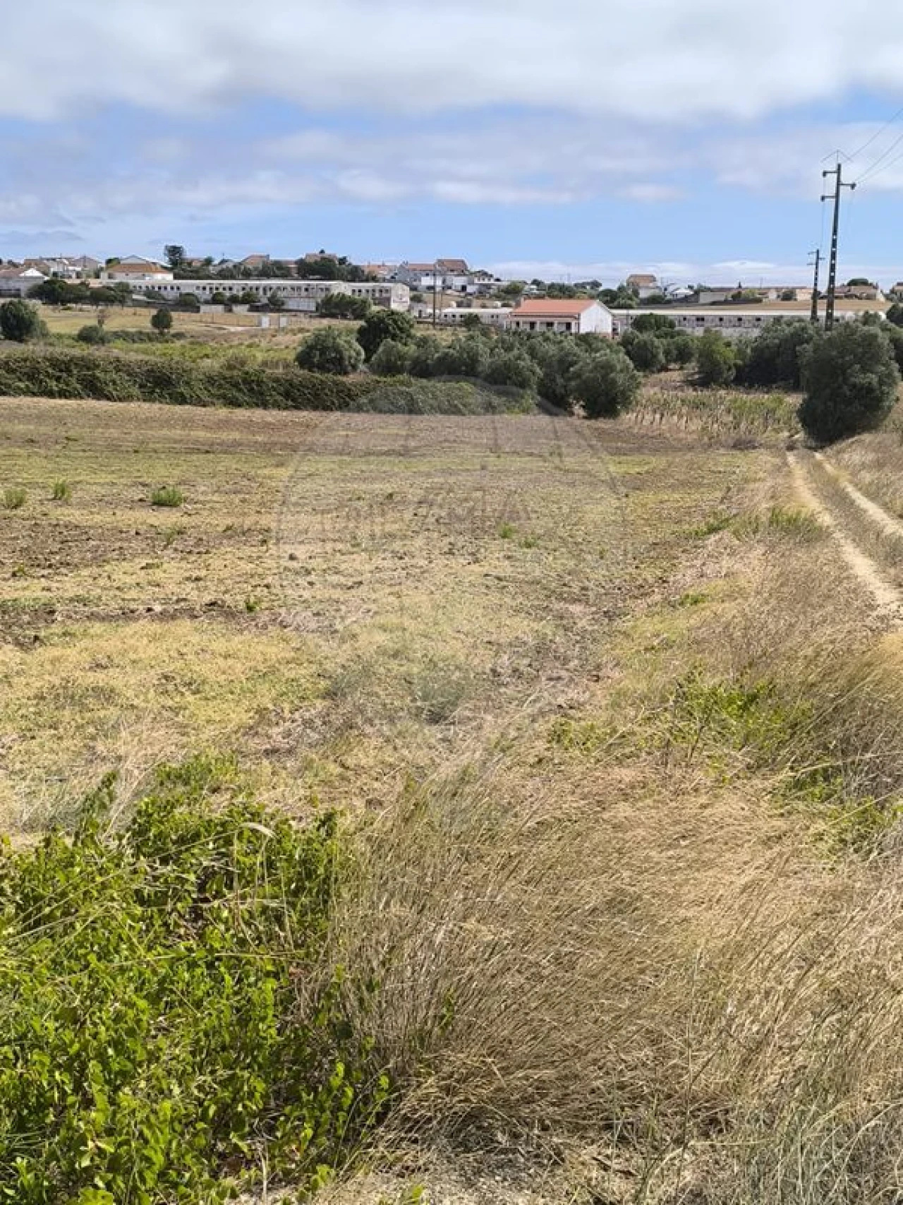 Terreno para Venda em Azambuja Foto 3