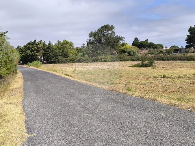 Terreno para Venda em Azambuja Foto 2