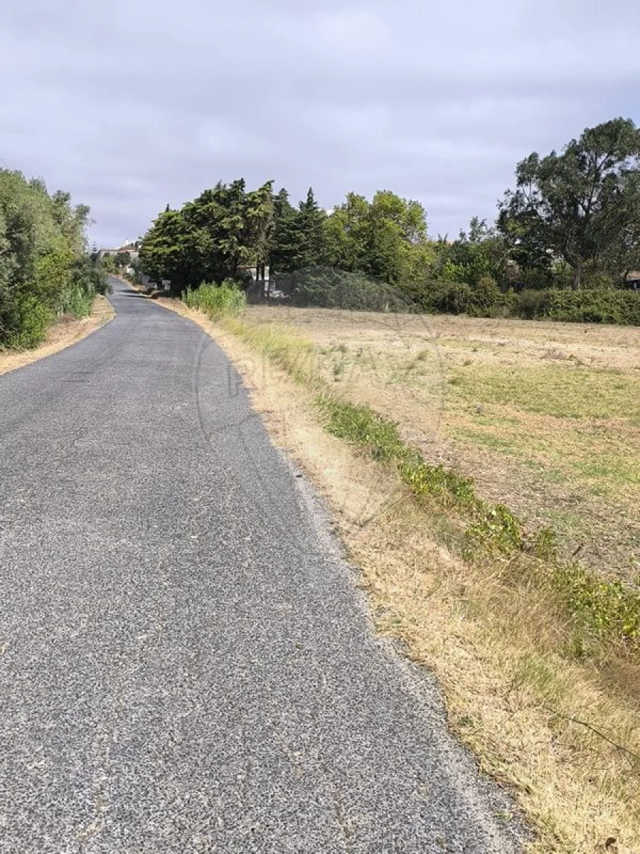 Terreno para Venda em Azambuja