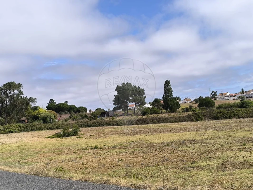 Terreno para Venda em Azambuja Foto 7