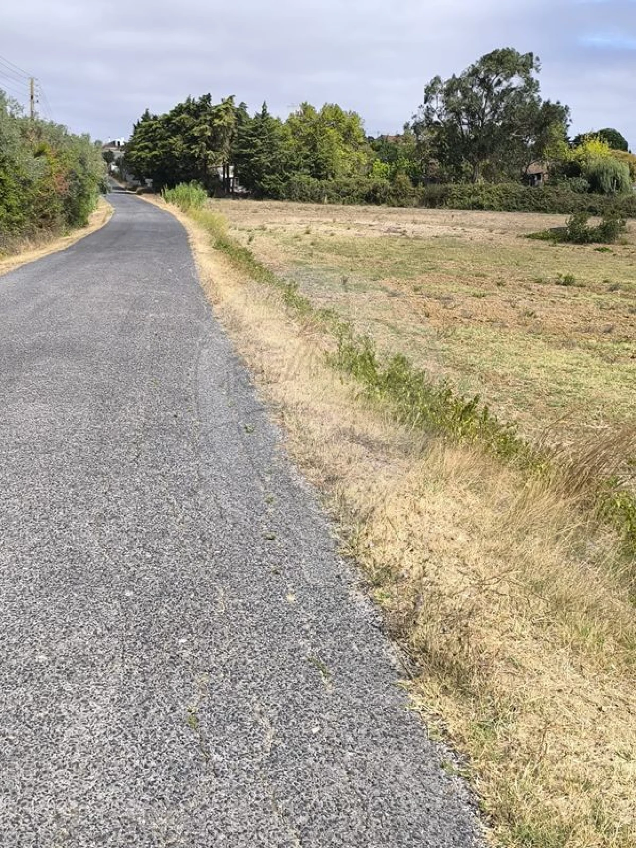 Terreno para Venda em Azambuja Foto 4