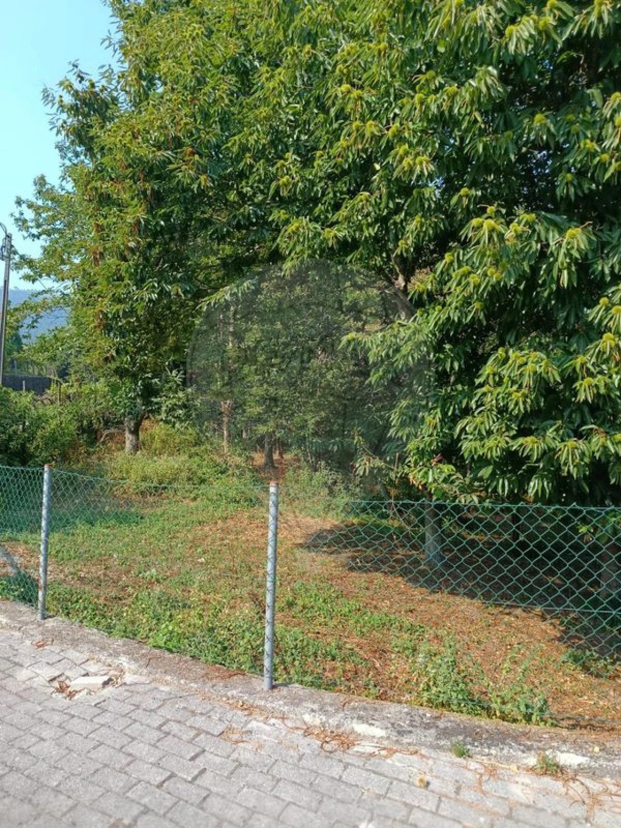 Terreno para Venda em Eira Vedra Foto 4