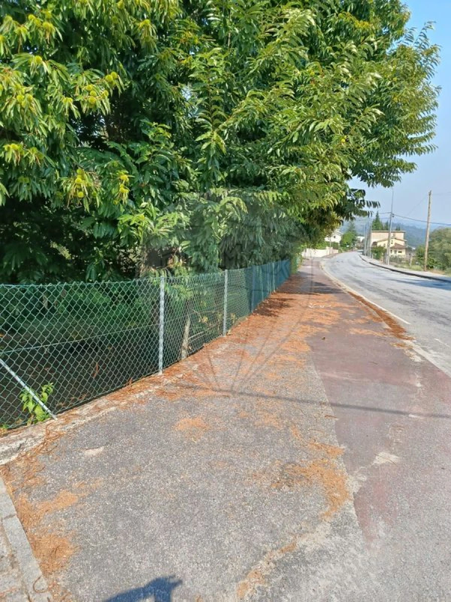 Terreno para Venda em Eira Vedra Foto 3