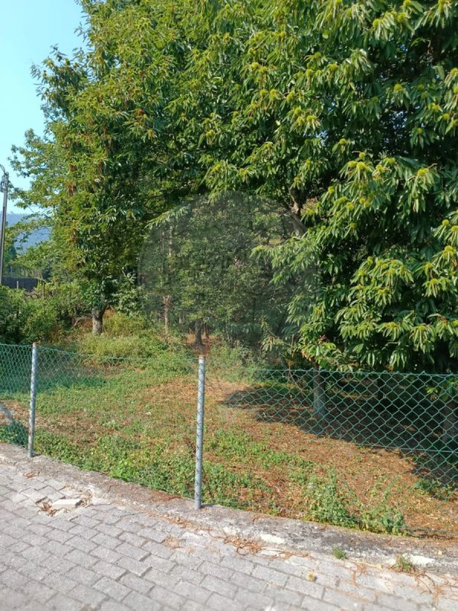 Terreno para Venda em Eira Vedra Foto 4