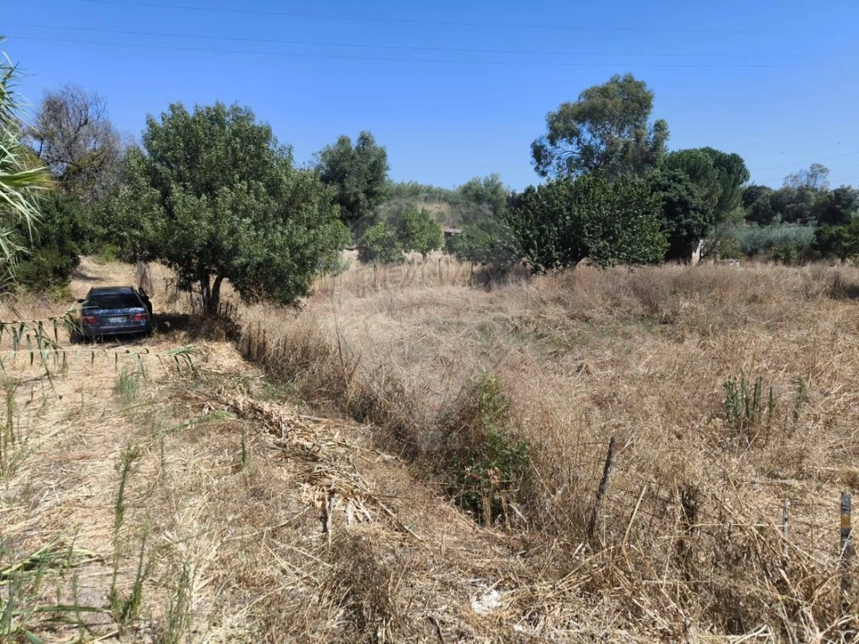 Terreno para Venda em São Vicente do Paul e Vale de Figueira Foto 8