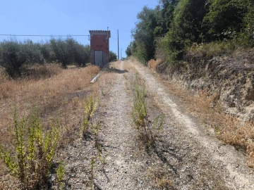Terreno para Venda em São Vicente do Paul e Vale de Figueira