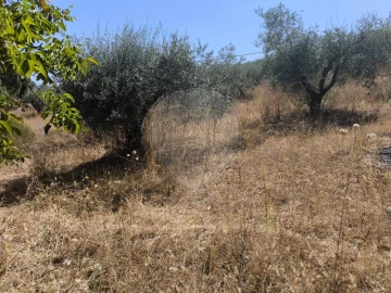 Terreno para Venda em São Vicente do Paul e Vale de Figueira