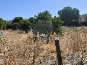 Terreno para Venda em São Vicente do Paul e Vale de Figueira