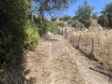 Terreno para Venda em São Vicente do Paul e Vale de Figueira