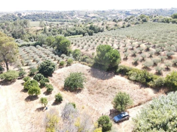 Terreno para Venda em São Vicente do Paul e Vale de Figueira