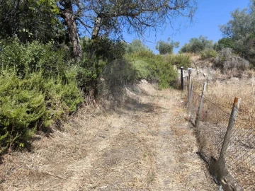 Terreno para Venda em São Vicente do Paul e Vale de Figueira