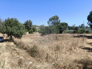 Terreno para Venda em São Vicente do Paul e Vale de Figueira