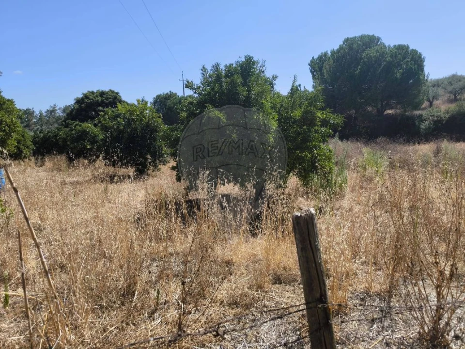Terreno para Venda em São Vicente do Paul e Vale de Figueira Foto 3