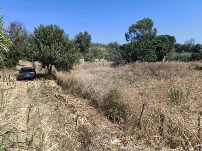 Terreno para Venda em São Vicente do Paul e Vale de Figueira Foto 8