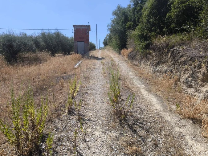 Terreno para Venda em São Vicente do Paul e Vale de Figueira Foto 4