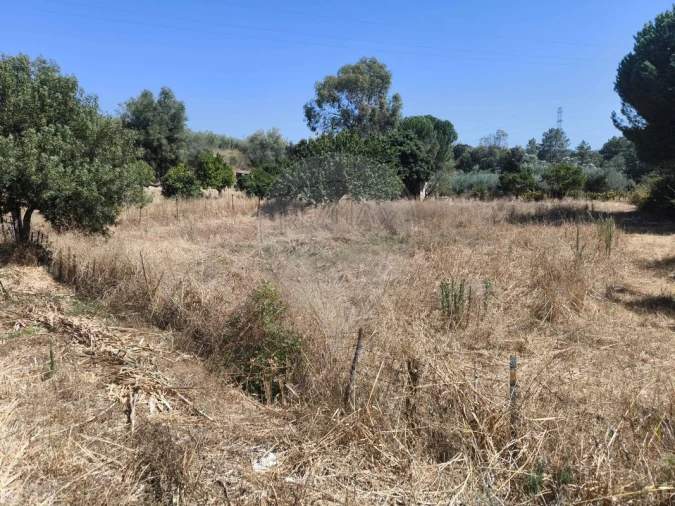 Terreno para Venda em São Vicente do Paul e Vale de Figueira Foto 9