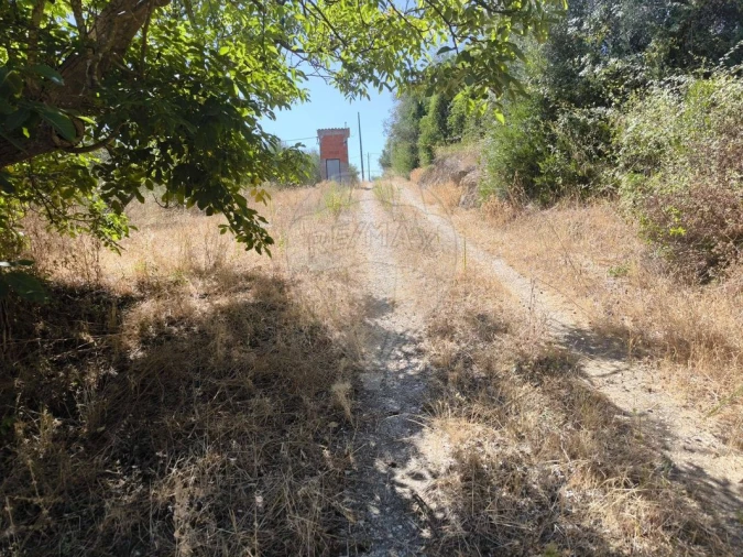Terreno para Venda em São Vicente do Paul e Vale de Figueira Foto 7