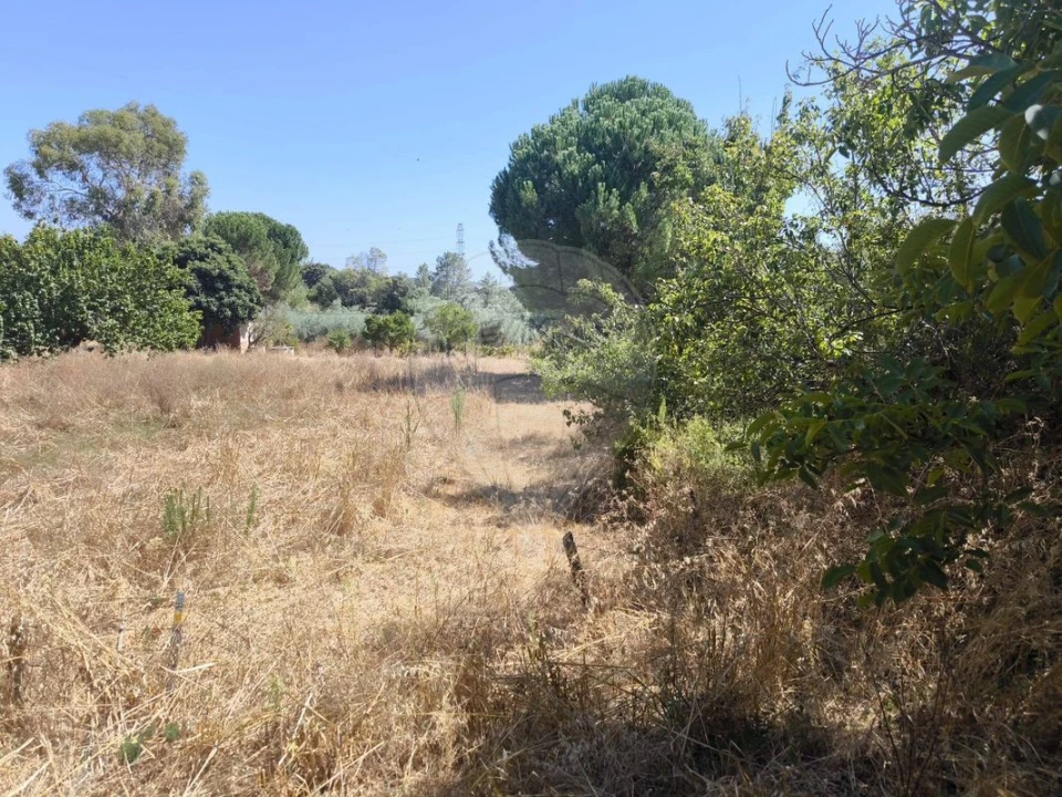 Terreno para Venda em São Vicente do Paul e Vale de Figueira Foto 5