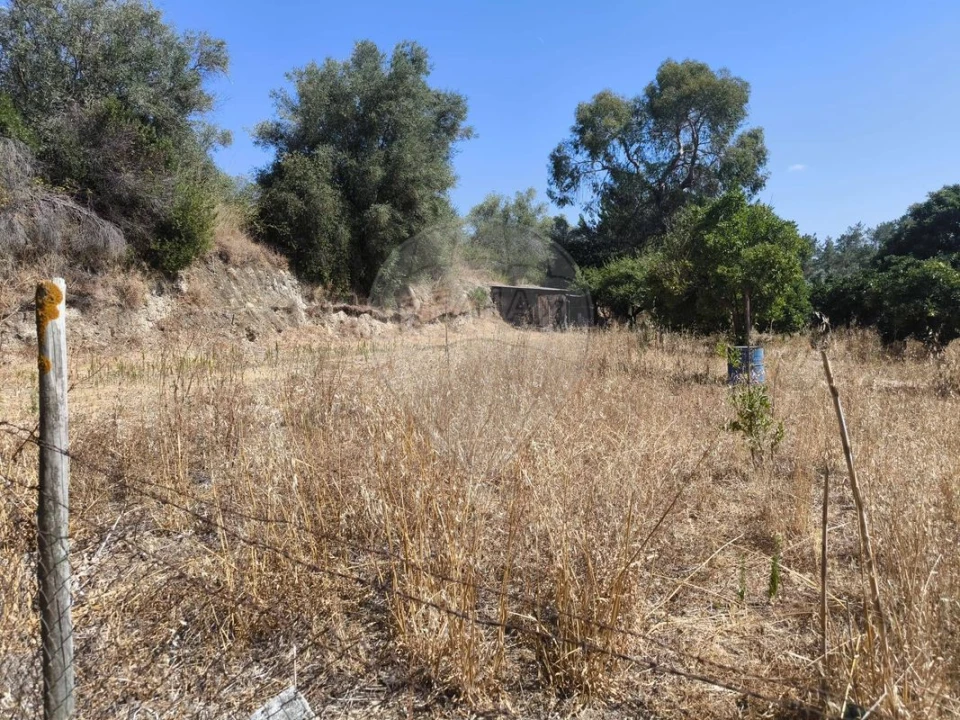 Terreno para Venda em São Vicente do Paul e Vale de Figueira Foto 2