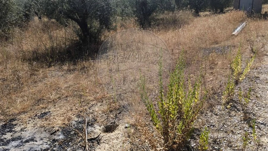 Terreno para Venda em São Vicente do Paul e Vale de Figueira