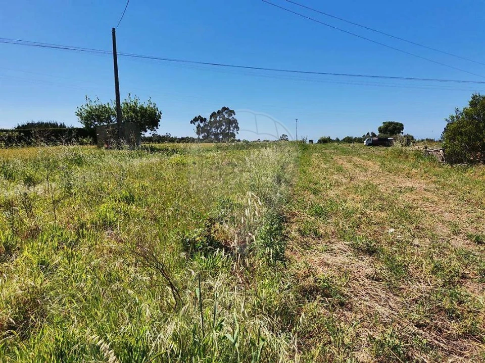 Terreno para Venda em Alqueidão Foto 2