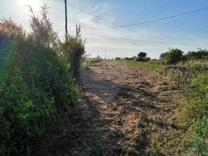 Terreno para Venda em Alqueidão Foto 6