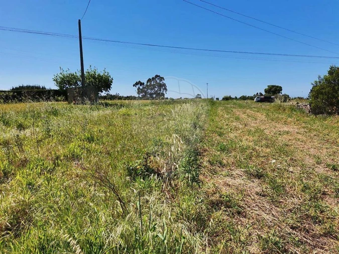 Terreno para Venda em Alqueidão Foto 2