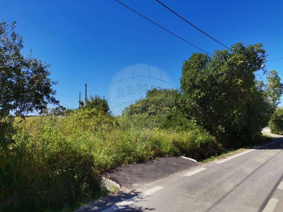 Terreno para Venda em Alqueidão Foto 3