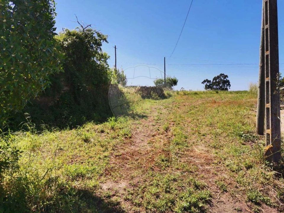 Terreno para Venda em Alqueidão Foto 3