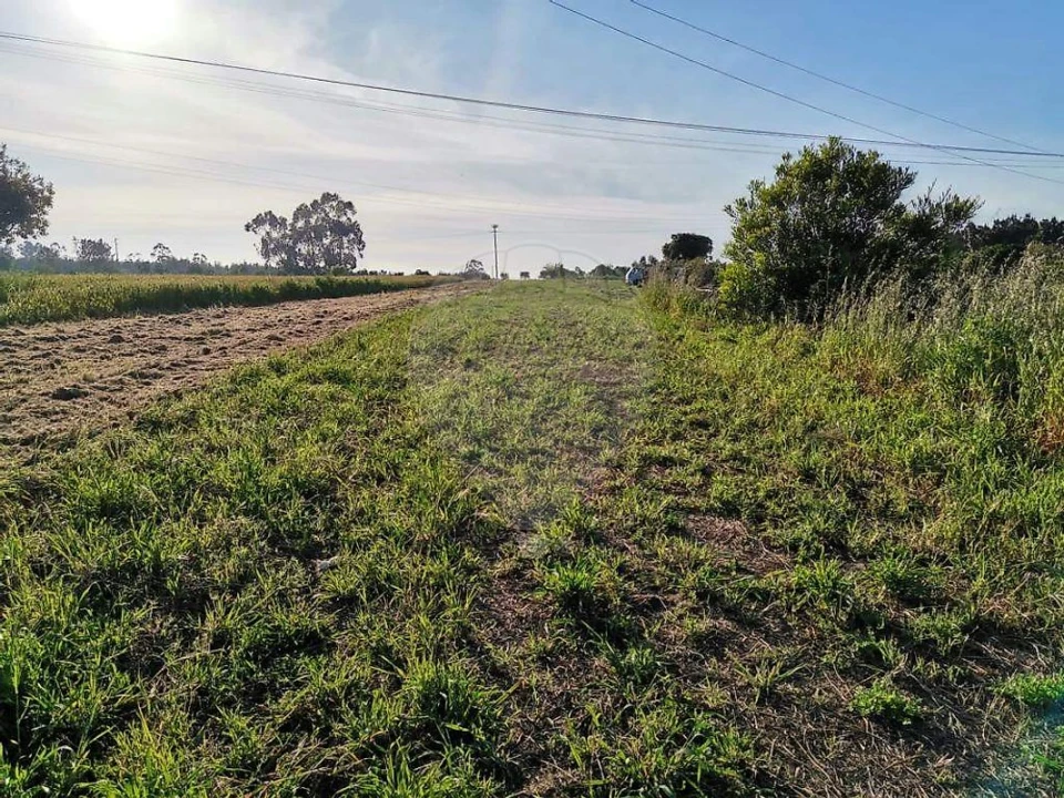 Terreno para Venda em Alqueidão Foto 4