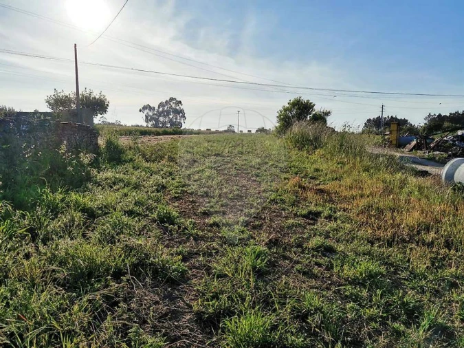 Terreno para Venda em Alqueidão Foto 5