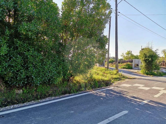 Terreno para Venda em Alqueidão Foto 8