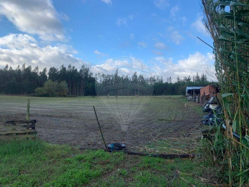 Terreno para Venda em Arazede Foto 2