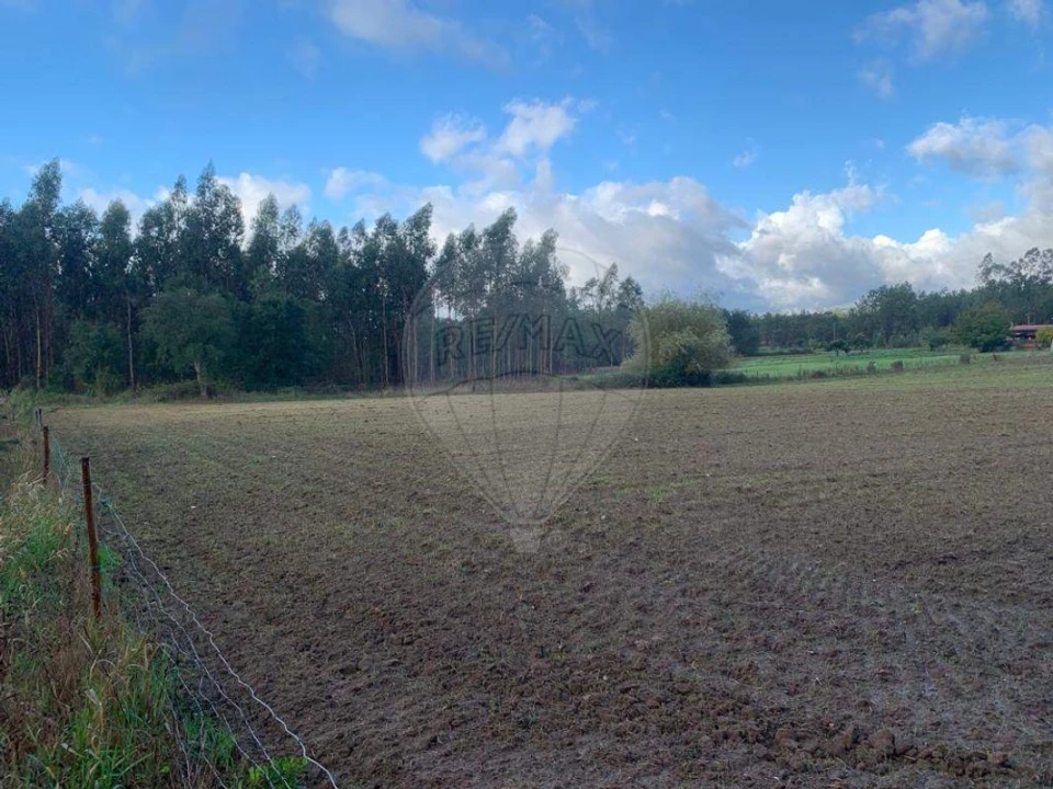 Terreno para Venda em Arazede Foto 4